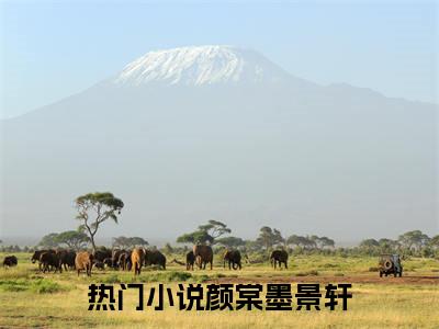 颜棠墨景轩小说大结局免费阅读（颜棠墨景轩）-完结版颜棠墨景轩小说推荐