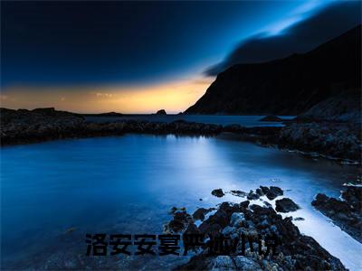 洛安安宴严述（洛安安宴严述）免费阅读-小说洛安安宴严述免费观看