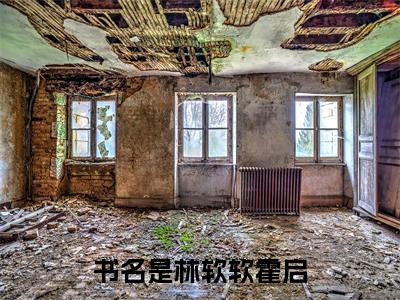 【新书】《娇软小社恐穿书记》林软软霍启全文全章节免费阅读