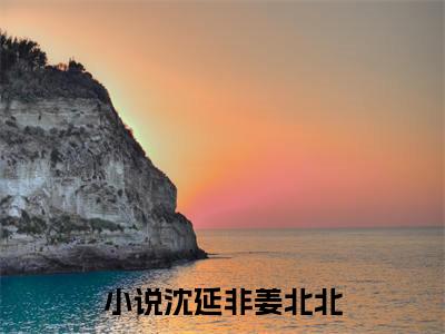 沈延非姜北北（沈延非姜北北）小说全文免费阅读-沈延非姜北北免费阅读完整版