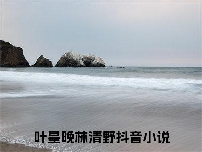 叶星晚林清野（叶星晚林清野）全文免费阅读无弹窗_叶星晚林清野最新小说_笔趣阁（叶星晚林清野）