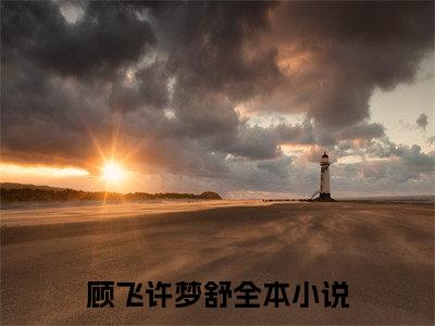 顾飞许梦舒小说在线阅读（顾飞许梦舒）全文免费阅读无弹窗大结局_顾飞许梦舒小说免费最新章节列表_笔趣阁（顾飞许梦舒）