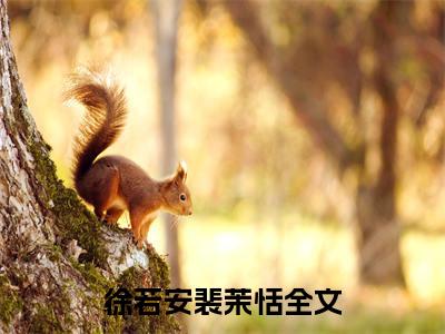 徐若安裴茉恬（徐若安裴茉恬）全文免费阅读无弹窗_徐若安裴茉恬最新小说_笔趣阁（徐若安裴茉恬）