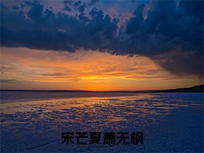 宋芒夏萧无枫（宋芒夏萧无枫）全文免费阅读无弹窗大结局_（宋芒夏萧无枫无弹窗）最新章节免费阅读_笔趣阁