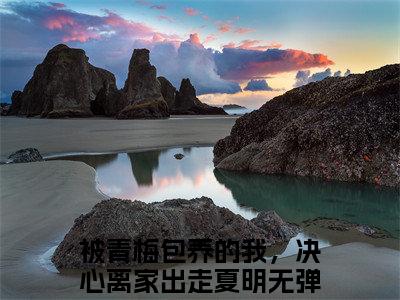 被青梅包养的我，决心离家出走夏明全文小说（被青梅包养的我，决心离家出走夏明）在线阅读无弹窗大结局_被青梅包养的我，决心离家出走夏明全文在线阅读无弹窗