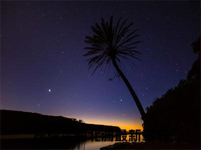 林晚星顾北渊小说（林晚星顾北渊）全文免费阅读无弹窗大结局_林晚星顾北渊小说最新章节列表_笔趣阁（林晚星顾北渊）