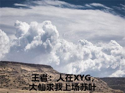 王者：人在XYG，大仙求我上场苏叶最新章节在线阅读-小说全文阅读