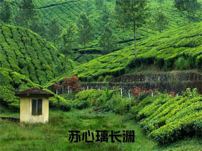 （原来，她命中注定生生世世不得所爱）是什么小说-（苏心璃长渊）全文免费阅读无弹窗大结局（原来，她命中注定生生世世不得所爱）最新章节列表