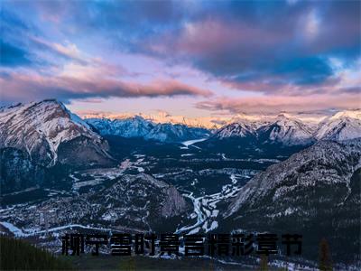 柳宁雪时景言小说（柳宁雪时景言）全文免费阅读无弹窗大结局_柳宁雪时景言小说最新章节列表_笔趣阁（柳宁雪时景言）