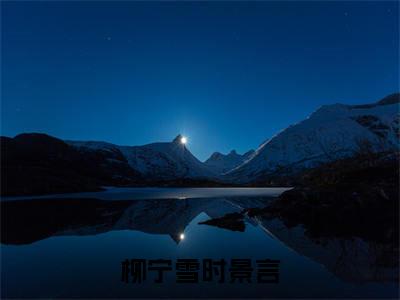 柳宁雪时景言（柳宁雪时景言无弹窗）全文免费阅读无弹窗大结局_柳宁雪时景言最新章节列表_笔趣阁（柳宁雪时景言无弹窗）