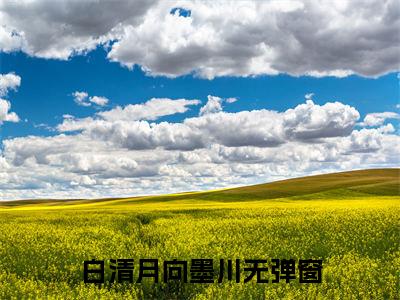 白清月向墨川小说(白清月向墨川)小说全文免费阅读_（白清月向墨川）白清月向墨川最新章节列表