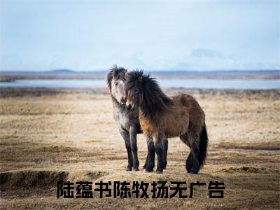 陆蕴书陈牧扬(陆蕴书陈牧扬)小说免费阅读-陆蕴书陈牧扬（陆蕴书陈牧扬）全文阅读-笔趣阁（陆蕴书陈牧扬）