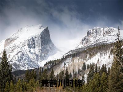 萧鹤川时锦免费阅读无广告 （萧鹤川时锦大结局免费阅读）萧鹤川时锦是啥小说