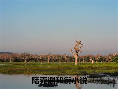 陆菀谢知衍（陆菀谢知衍）免费小说-（陆菀谢知衍）完结版在线阅读