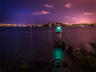 顾时浔孟雨的书名大结局免费阅读 顾时浔孟雨全文小说