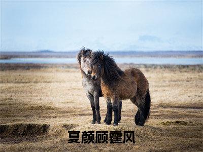 夏颜顾霆风全文小说-（夏颜顾霆风）最新章节在线阅读