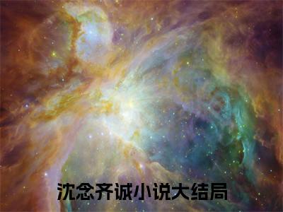 沈念齐诚小说（沈念齐诚全文完整版免费阅读）_沈念齐诚小说免费最新章节列表