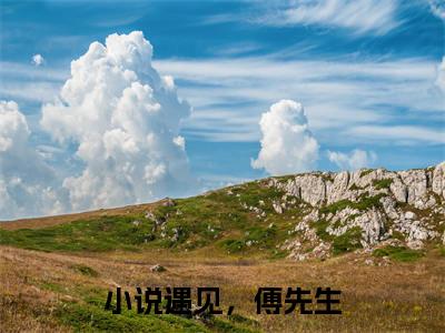 叶繁星傅景遇小说（遇见，傅先生）全文免费阅读无弹窗大结局_叶繁星傅景遇完整版最新阅读_笔趣阁（遇见，傅先生）