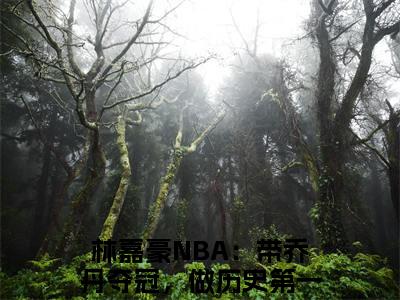 林嘉豪（NBA：带乔丹夺冠，做历史第一人很合理吧）全文免费阅读无弹窗大结局_林嘉豪最新章节列表_笔趣阁（NBA：带乔丹夺冠，做历史第一人很合理吧）