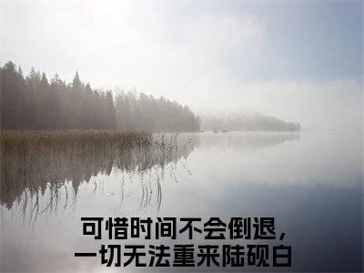 主角为陆砚白冷虞的小说（可惜时间不会倒退，一切无法重来）大结局免费阅读-可惜时间不会倒退，一切无法重来全文免费阅读笔趣阁