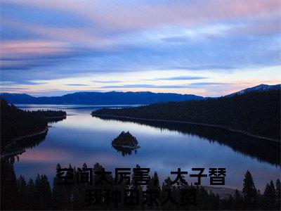 空间太厉害，太子替我种田求入赘全文免费阅读_（空间太厉害，太子替我种田求入赘）庄锦凌亦寒最新小说_笔趣阁