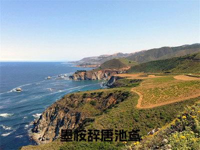 墨桉辞唐池鸢（墨桉辞唐池鸢）小说大结局-小说（墨桉辞唐池鸢）免费阅读墨桉辞唐池鸢