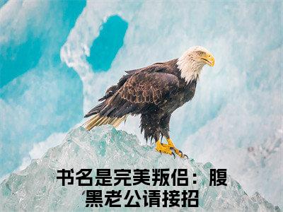 施绍钧靳歆免费小说（完美叛侣：腹黑老公请接招）全文无弹窗阅读施绍钧靳歆大结局免费阅读无弹窗