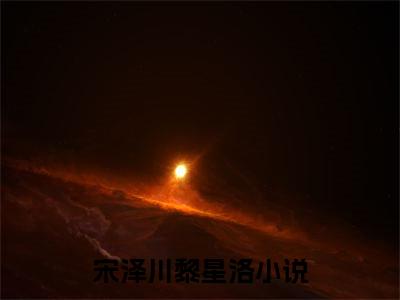 宋泽川黎星洛(宋泽川黎星洛)全文免费阅读无弹窗大结局_(宋泽川黎星洛)免费阅读全文无弹窗_笔趣阁