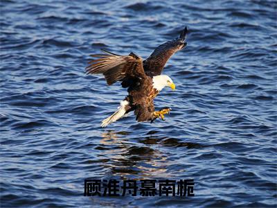 别情无处说（顾淮舟慕南栀）全文免费阅读无弹窗大结局_（顾淮舟慕南栀）的小说（别情无处说）最新章节列表