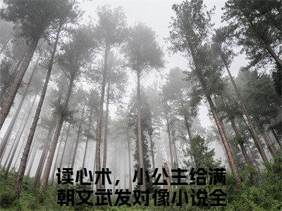 读心术，小公主给满朝文武发对像（林闪闪）全文免费阅读无弹窗大结局_读心术，小公主给满朝文武发对像最新章节列表_笔趣阁（免费+番外）