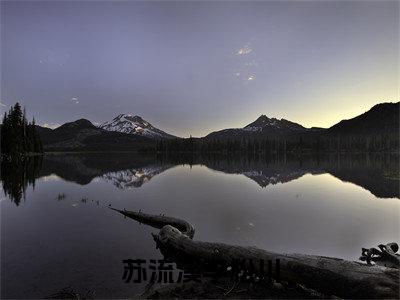 苏流溪李松川（苏流溪李松川）全文免费阅读无弹窗大结局-（苏流溪李松川）苏流溪李松川全文完结版阅读