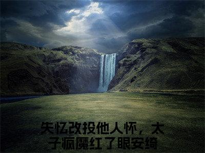 失忆改投他人怀，太子疯魔红了眼安绮小说_主角叫：失忆改投他人怀，太子疯魔红了眼安绮的小说全文免费阅读无弹窗