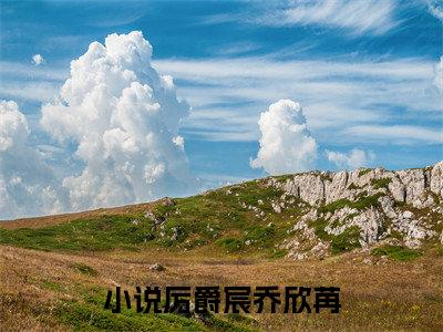 厉爵宸乔欣苒全文免费阅读无弹窗大结局_（厉爵宸乔欣苒）全文在线阅读大结局