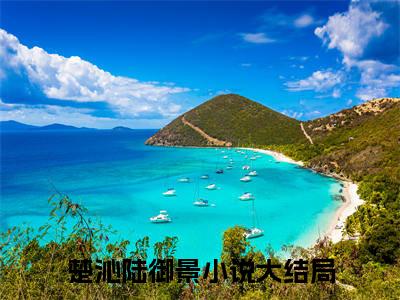 楚沁陆御景已完结全集大结局小说-热门小说（楚沁陆御景）最新章节阅读