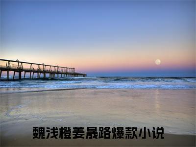 魏浅橙姜晟路（魏浅橙姜晟路）全文免费阅读无弹窗大结局_魏浅橙姜晟路最新章节列表