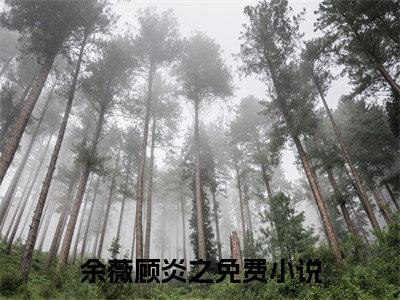 余薇顾炎之全文免费在线阅读-余薇顾炎之小说全文免费阅读无弹窗大结局