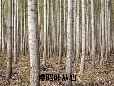 虞昭叶从心小说全文免费阅读-虞昭叶从心最新小说全文阅读