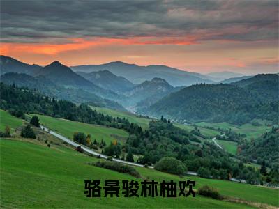 骆景骏林柚欢小说在线阅读全文免费阅读无弹窗大结局_骆景骏林柚欢小说免费最新章节列表_笔趣阁