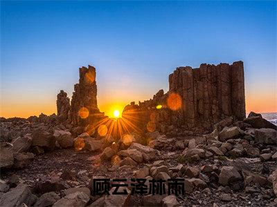 顾云泽林雨今日更新小说去哪里看 顾云泽林雨在线阅读全文