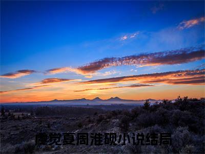 好看的小说推荐虞觉夏周淮砚 虞觉夏周淮砚全文试读免费大结局