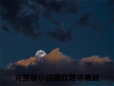 顾欢意许萧致小说(顾欢意许萧致)全文免费阅读无弹窗(小说全文免费阅读)顾欢意许萧致最新章节列表_笔趣阁