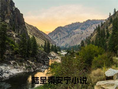 陆呈秦安宁（陆呈秦安宁免费阅读无弹窗）-陆呈秦安宁最新章节列表陆呈秦安宁全文无删减版