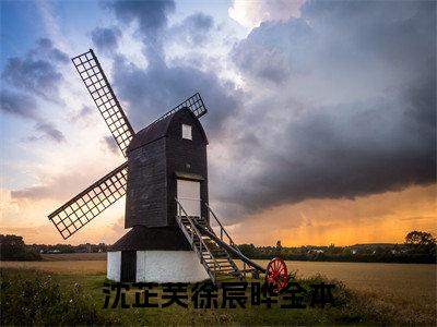 （沈芷芙徐宸晔）是什么小说-沈芷芙徐宸晔（沈芷芙徐宸晔）免费阅读大结局最新章节列表_笔趣阁