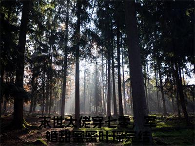 热门小说推荐末世大佬穿七零，军婚甜蜜蜜叶瑶-末世大佬穿七零，军婚甜蜜蜜叶瑶全文免费大结局