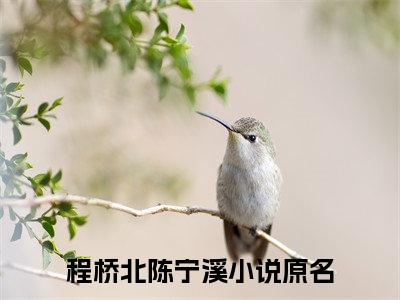 程桥北陈宁溪是什么小说-程桥北陈宁溪无弹窗免费阅读大结局最新章节列表_笔趣阁