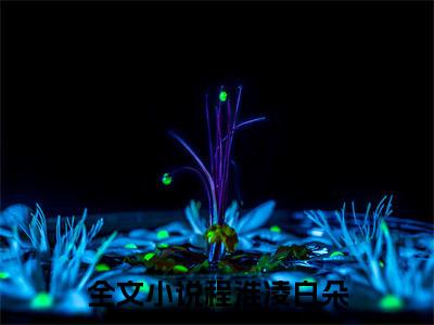 程淮凌白朵小说（程淮凌白朵）免费阅读全文无弹窗大结局_程淮凌白朵免费阅读无弹窗小说_小说笔趣阁