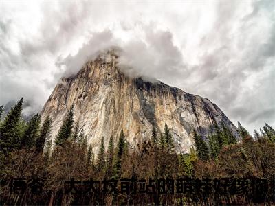 江晚听傅行洲（傅爷，太太坟前站的萌娃好像你大结局小说全集完整版）_（傅爷，太太坟前站的萌娃好像你小说）江晚听傅行洲全文阅读笔趣阁