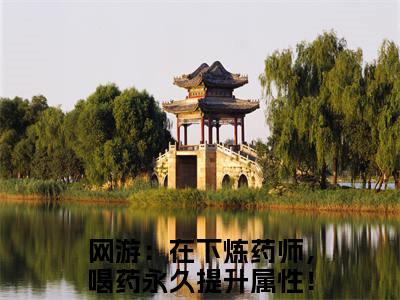 网游：在下炼药师，喝药永久提升属性！夏弈免费小说 网游：在下炼药师，喝药永久提升属性！夏弈全文无弹窗完整版阅读