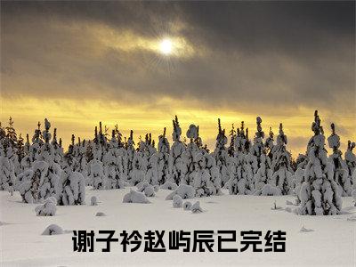 谢子衿赵屿辰小说免费下载（谢子衿赵屿辰完整全集已完结大结局小说）_谢子衿赵屿辰免费阅读