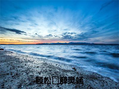 顾松埜薛灵嫣（顾松埜薛灵嫣）小说全文在线阅读_顾松埜薛灵嫣最新章节在线阅读_笔趣阁
